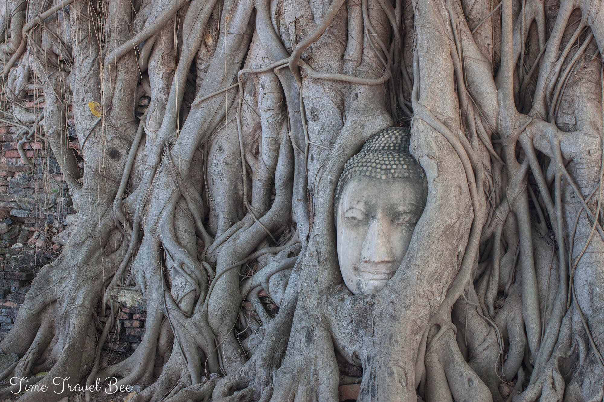 Buddha in Ayatthaya, head nestled in between the tree roots. The most iconic picture from Thailand.