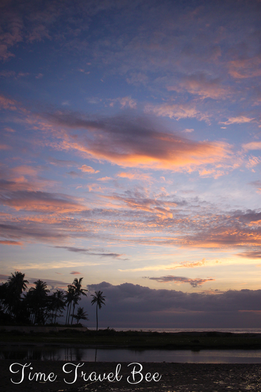 Zachód słońca w Dili, Timor Wschodni. Różowe niebo, palmy. Krokodyle w Timorze Wschodnim.