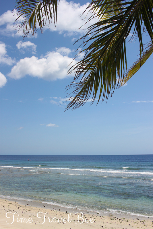 Rajska plaża pod palmami Timor Wschodni Atauro.