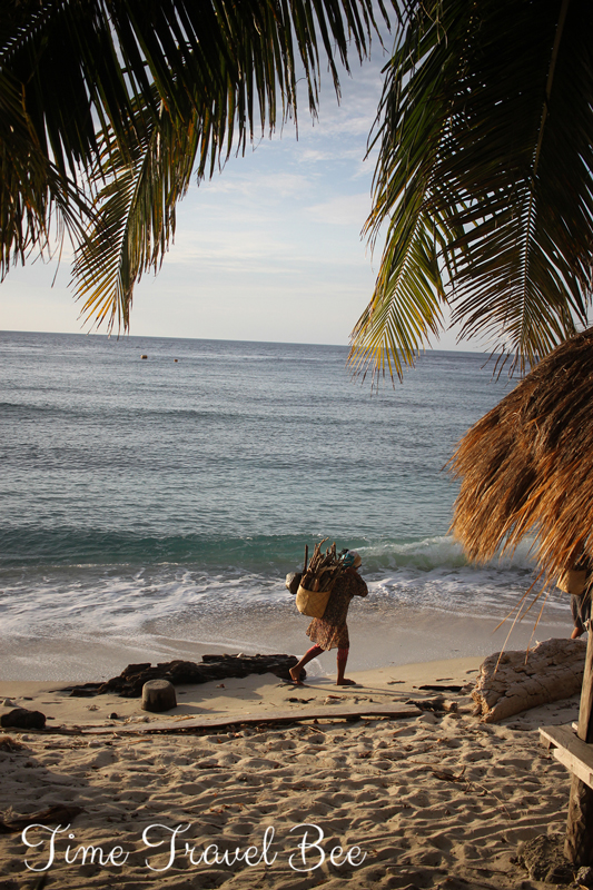 Collecting wood in Timor Leste Woman atauro island timor leste woman collecting wood on the beach. Go green with your every day choices.