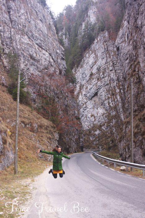 Wąwóz skalny w Rumunii Park Narodowy.