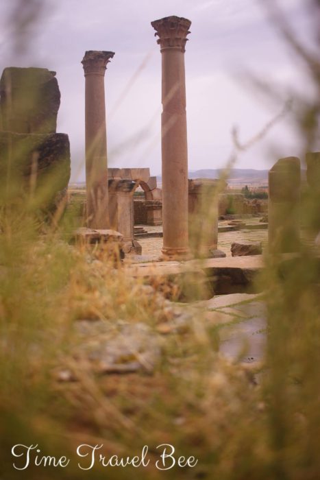 Starożytne ruiny Timgad, kolumny w stylu korynckim.