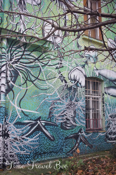 Squat in Ljubljana with grafifitti ont he wall. Colrful murals in the capital of Slovenia. Jelly fish street art in Metelkova.
