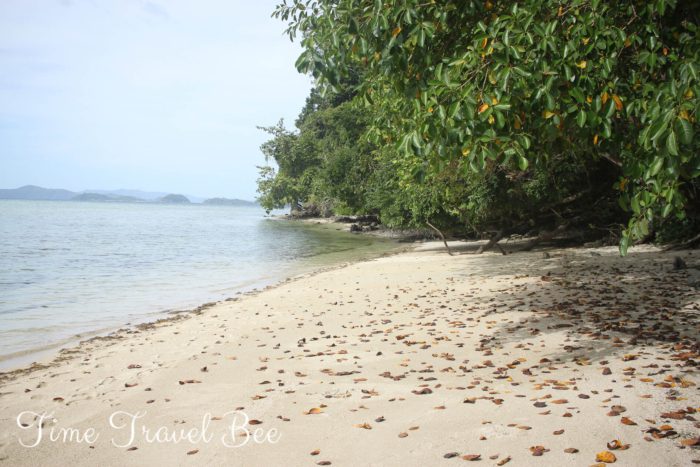 Visiting Port Barton without taking a tour. White beach with mangrove trees.