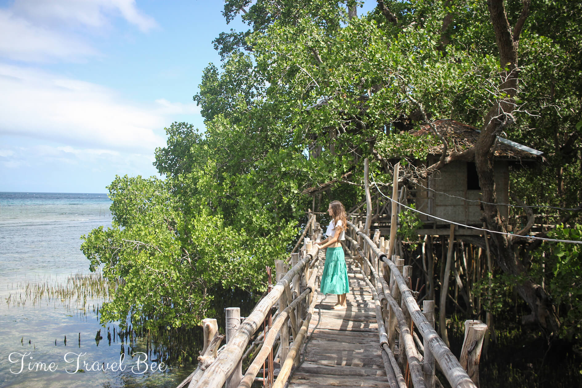 Pszczoła na moście. Drewniane pomosty nad źródłami obok lasów namorzynowych. Zielone lasy Siquijor.