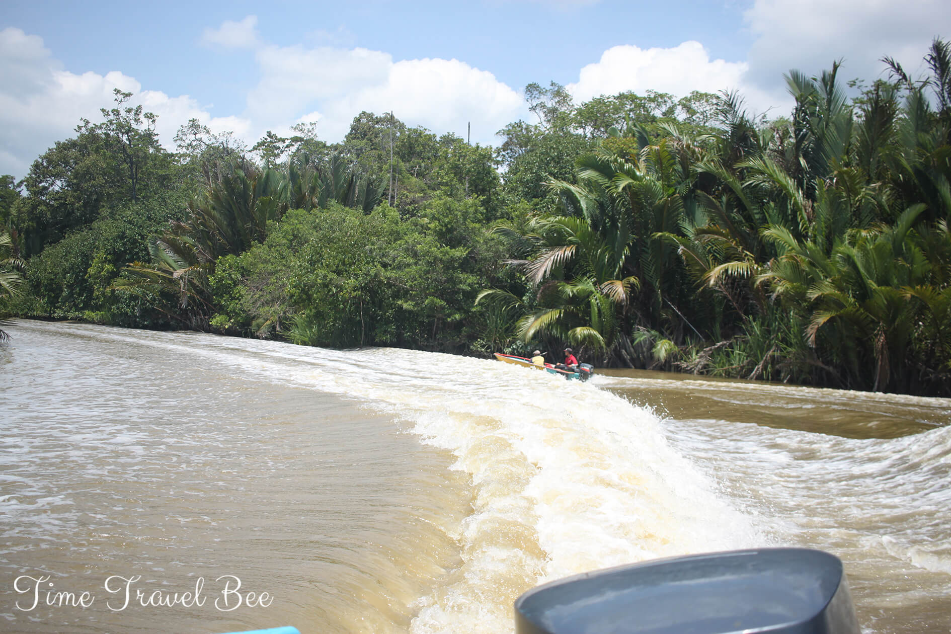 Wycieczka łodzią przez Brunei Darussalam. Motorówka pędzie przez lasy deszczowe i mokradła.