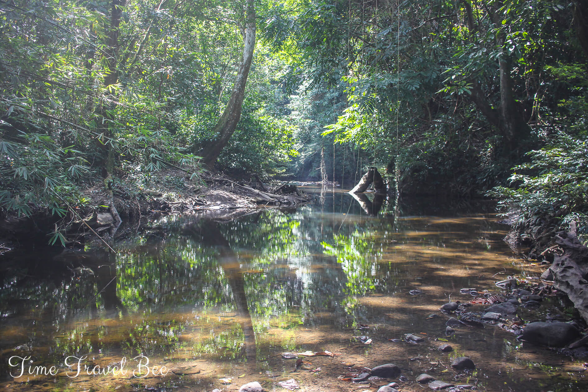 Trekking w dżungli i przeprawa przez rzekę.