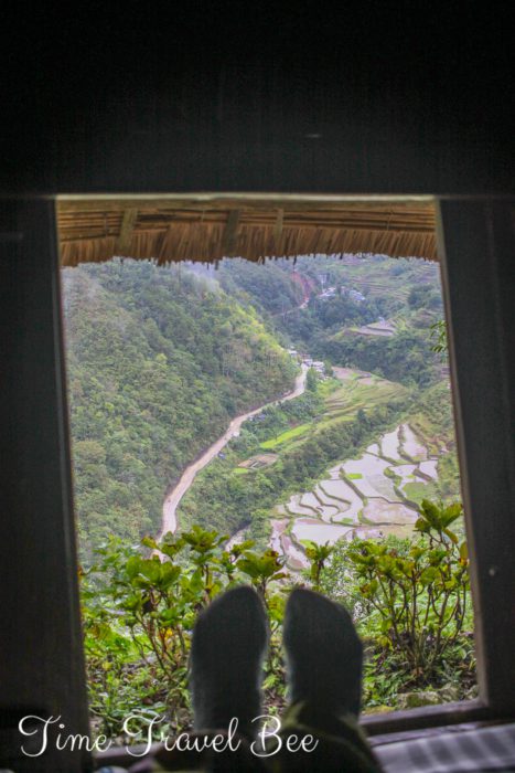 View on the rice terraces from the room. 