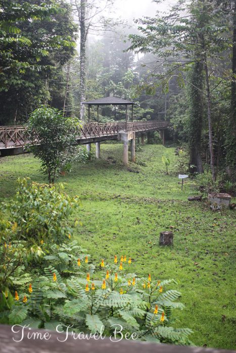 Lasy deszczowe Borneo, gdzie spać?