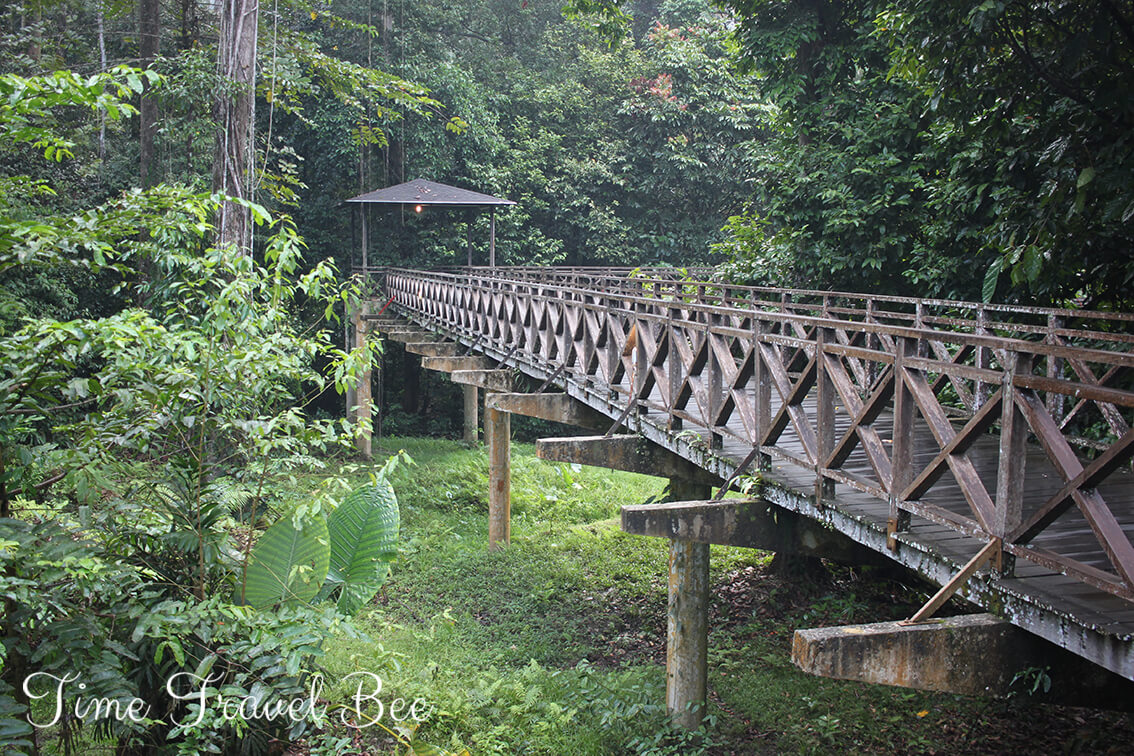 Noclegi w Dolinie Danum. Gdzie spać w Dolinie Danum?