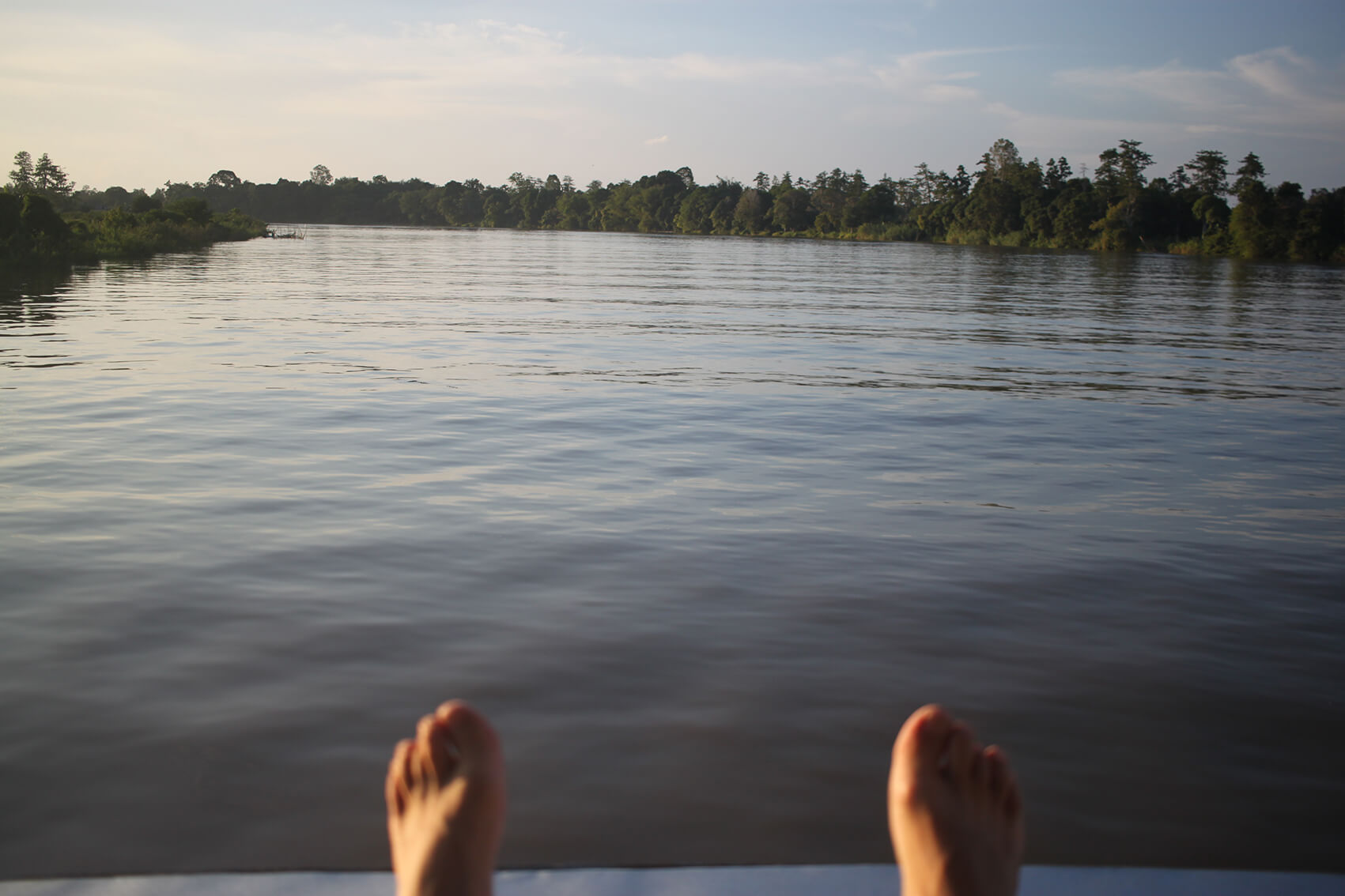 Rejs rzeką Mahakam na Borneo, lasy deszczowe.