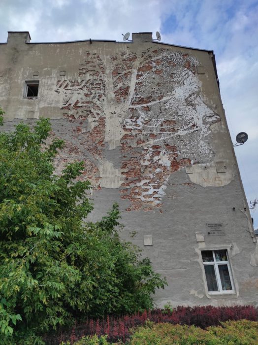 twarz kobiety murale łódzkie