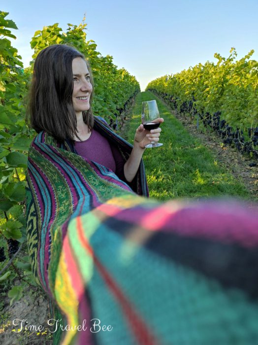 Winnice ziemi sandomierskiej.