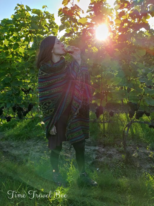 Enoturystyka w Polsce.