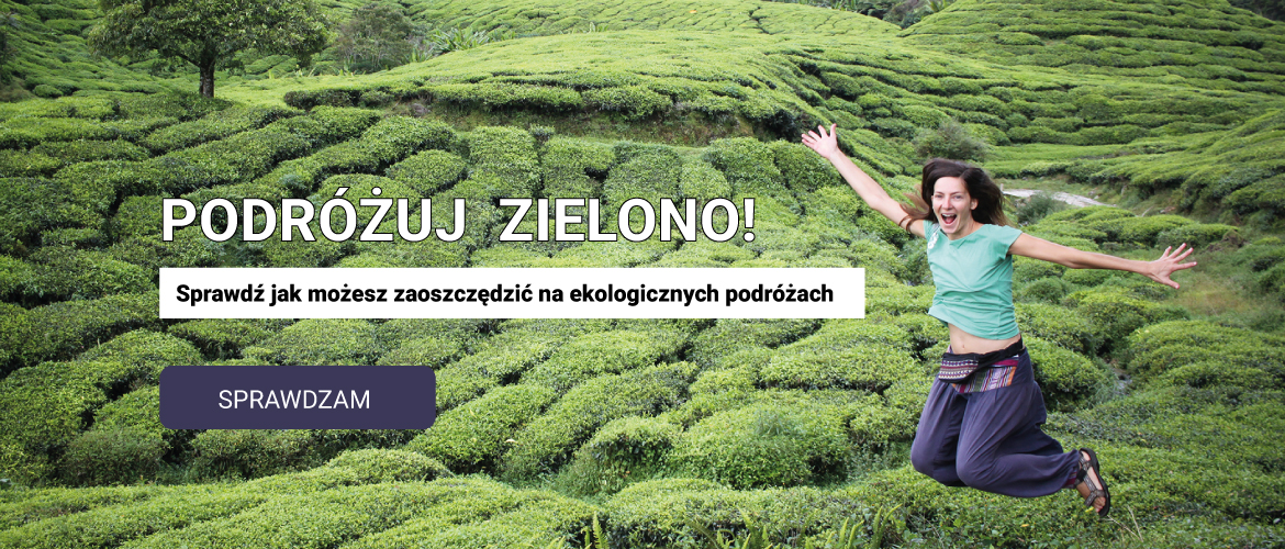 Jak podróżować z głową?