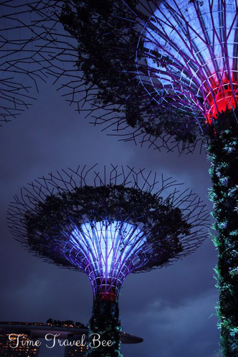 Singapur nocą i Ogrody w Zatoce. Sztuczne kwiaty.