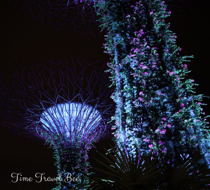 Singapur nocą, najpiękniejsze atrakcje miasta.